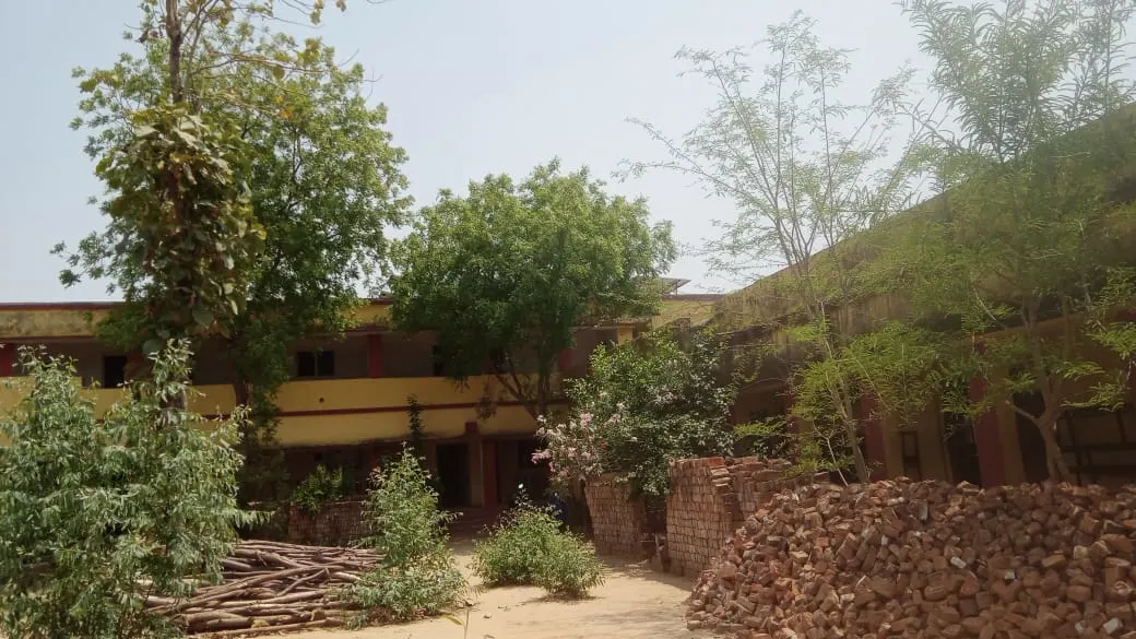 Gallery 3